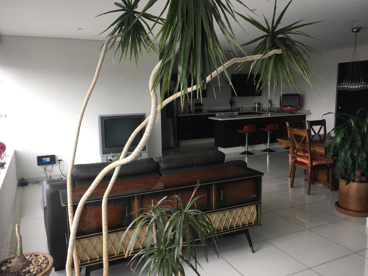 Napoles Condo Suites 墨西哥城 外观 照片